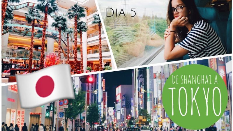 NUEVO VIDEO: Llegamos al mejor país del mundo??!!! Primer día en Tokyo | Diario de Viaje: Hong Kong y Japón #05