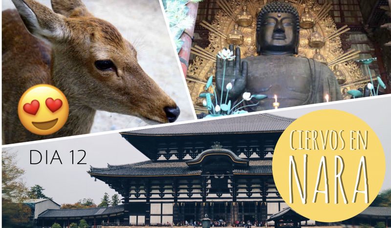 NUEVO VIDEO: Un ciervo me comió el mapa!!!! | Diario de Viaje: Hong Kong y Japón #12 - Primera Parte