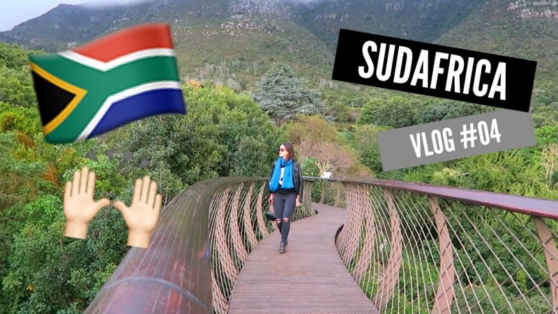 NUEVO VIDEO: CAMINANDO ENTRE LOS ARBOLES! 🌳🌳🌳🌳🌳 | Sudáfrica Vlogs #04