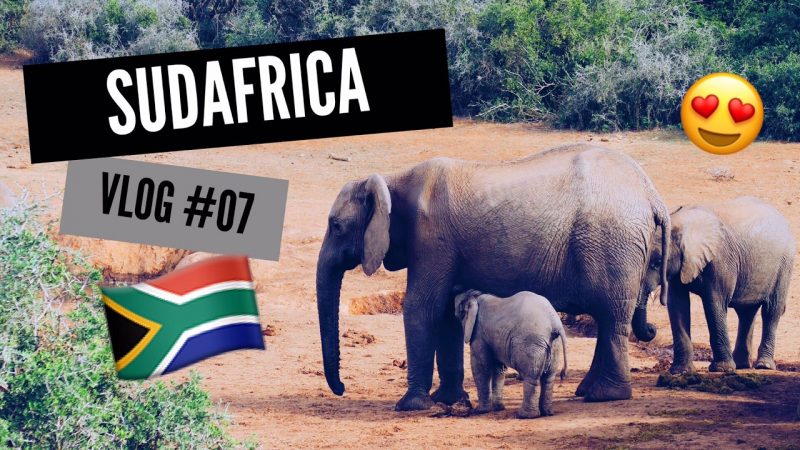 VIMOS ELEFANTES BEBES!! 😍😍😍 | Sudáfrica Vlogs #07