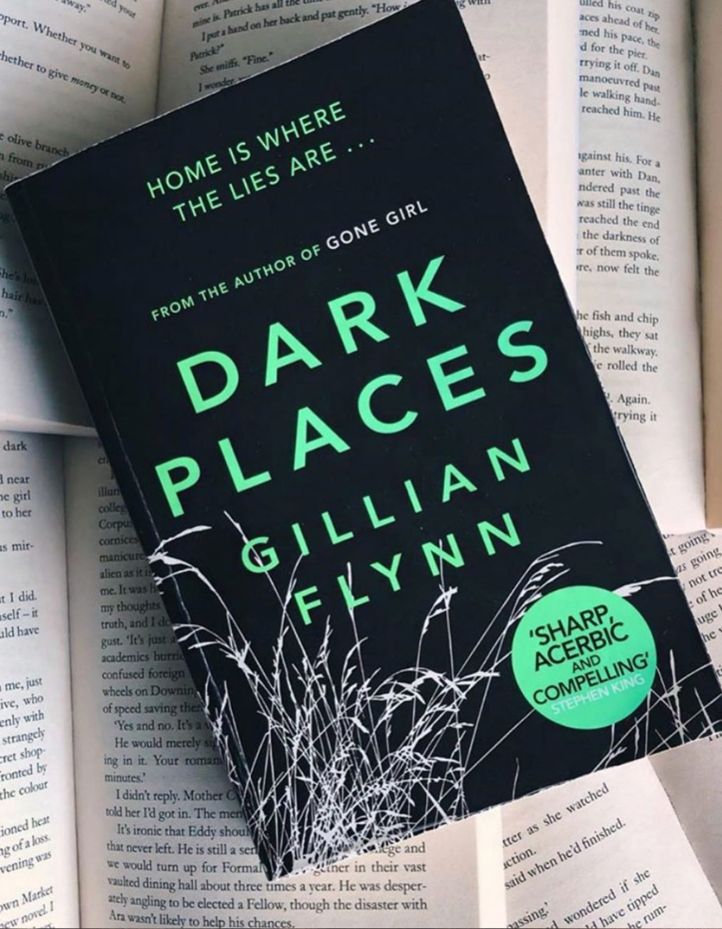 📚 Book Review 📚 Dark Places, by Gillian Flynn