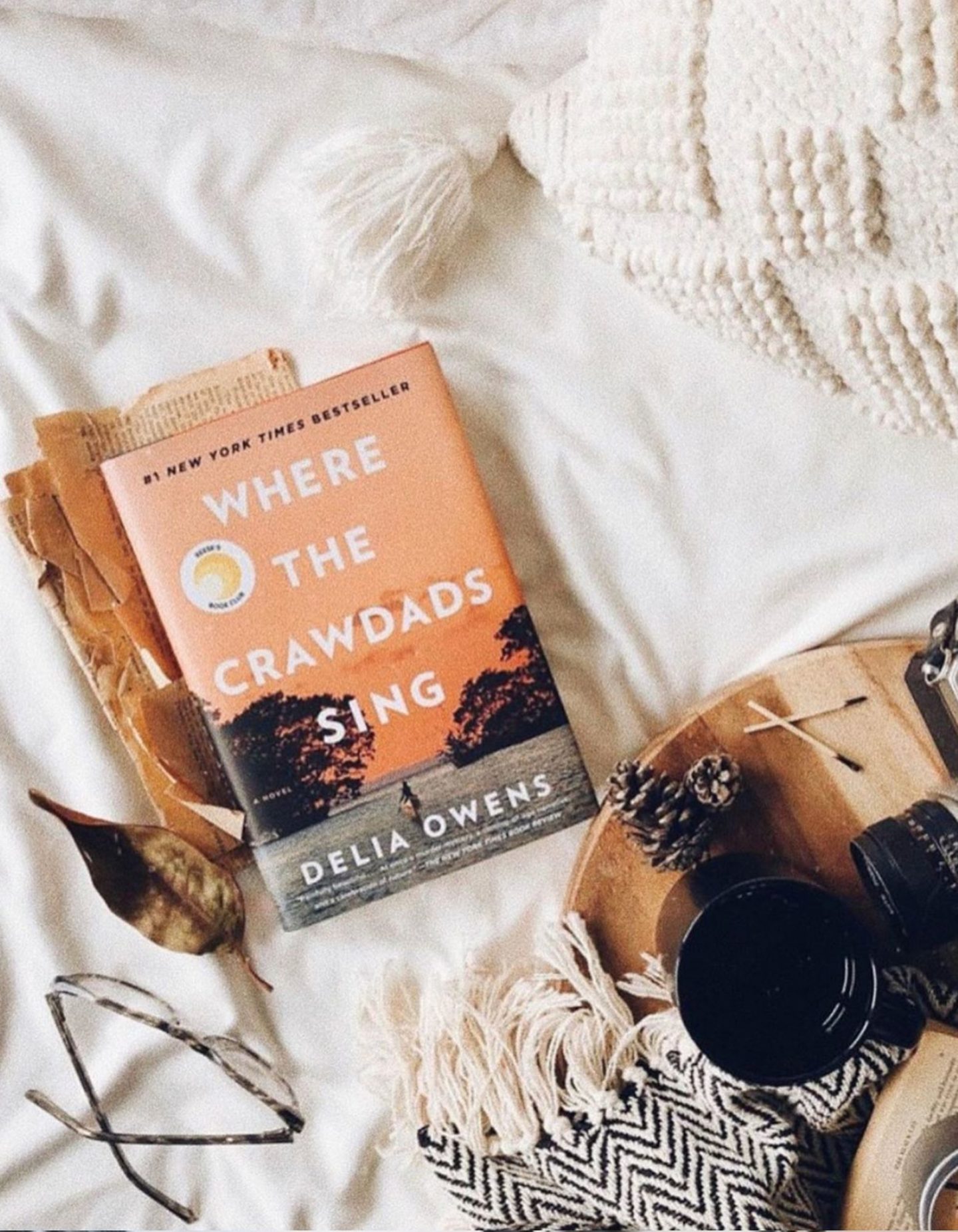 📚 Book Review 📚 Where the Crawdads sing, by Delia Owens